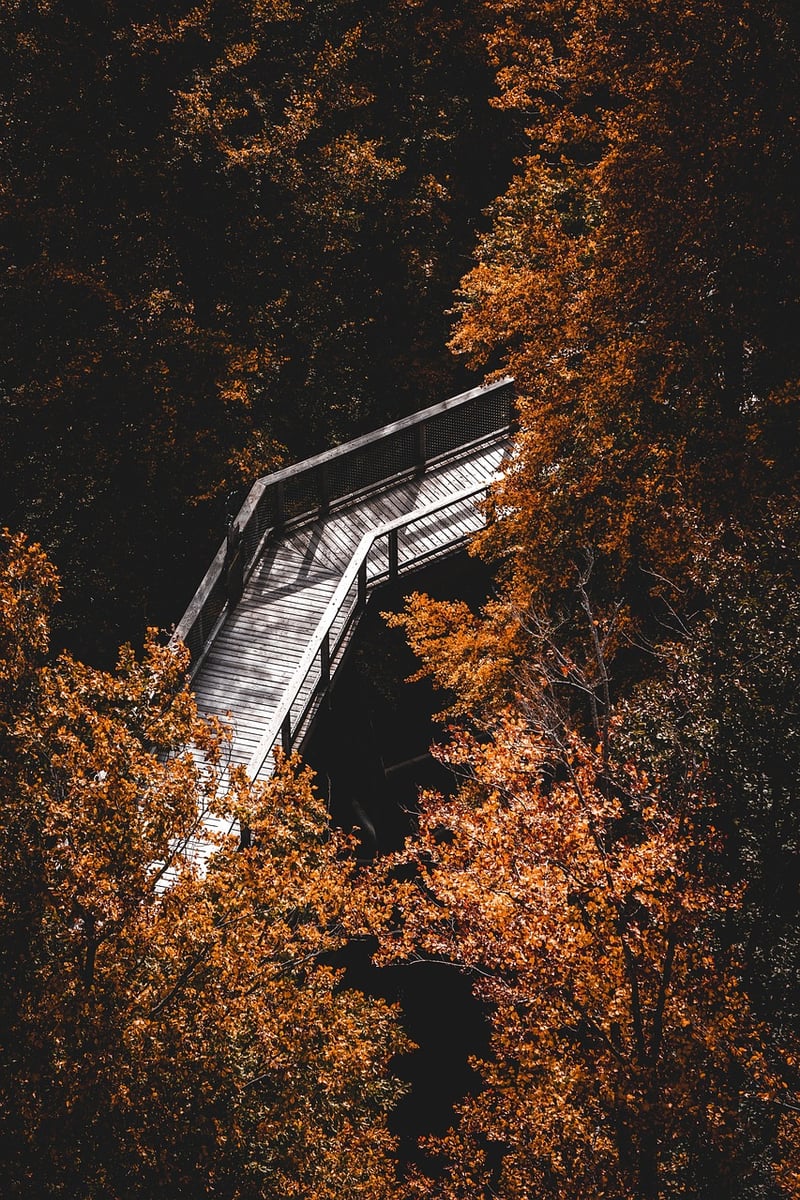 Mindfulness Practices